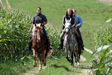 Austria-Upper Austria-Innviertel Woodlands Ride